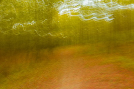 秋天森林的梦幻般的抽象