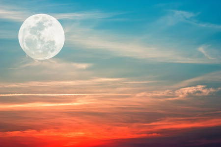 月亮花葶美丽抽象月亮在天空背景照片