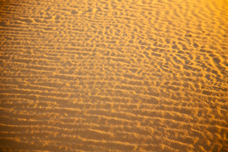 非洲的棕色沙子在萨哈拉摩洛哥沙漠线