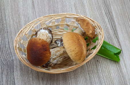 野生蘑菇牛肝菌