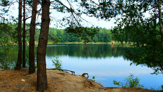 风景与湖在森林