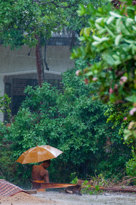 橙色和尚与伞在雨中