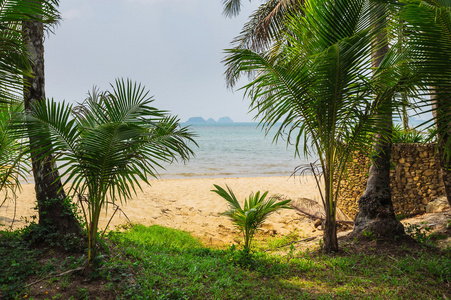 美丽的热带海滩