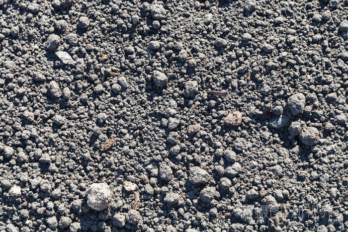 在阳光明媚的日子里在户外松软的土壤