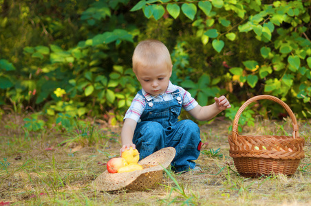 一篮子苹果在公园里的小男孩