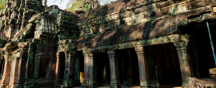 石庙 ta prohm 吴哥 wat