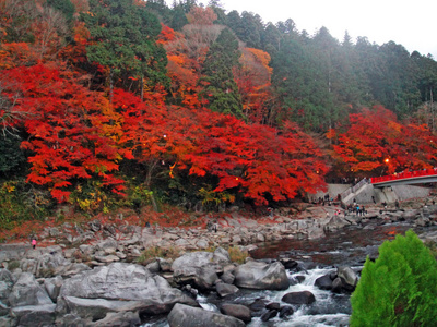 日本爱知县的可兰溪