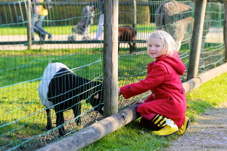 在农场或动物园里喂山羊的一种小孩