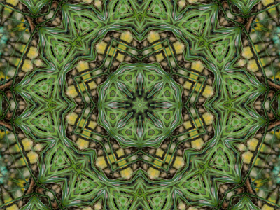 绿色抽象万花筒背景图片