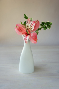 六出花在桌上花瓶