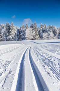 越野滑雪跑道冬季景观