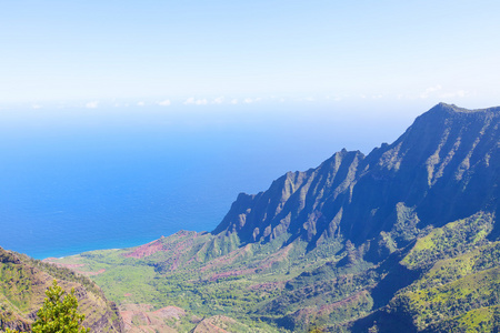 在考艾岛卡拉劳峡谷