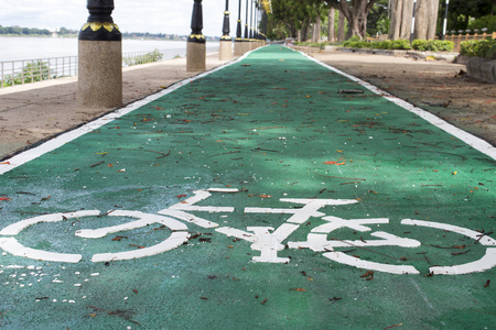 自行车标志的道路上，自行车道