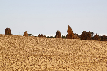 澳大利亚 石峰 nambung 西方，珀斯