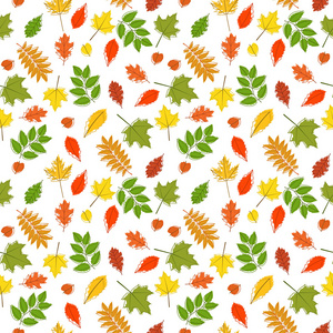 矢量无缝模式与多彩的秋天叶子