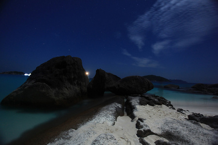 夜风景棕榈