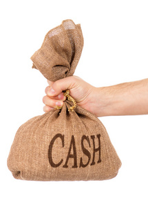 画布上的钱袋子图片