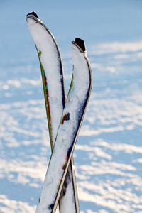 双十字架滑雪板在雪地里图片