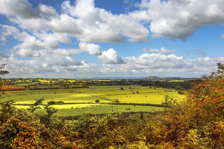 绿色的田野，索尔兹伯里，英格兰农村美丽的景色