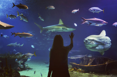 在索菲娅水族馆的玻璃隧道中年轻女孩