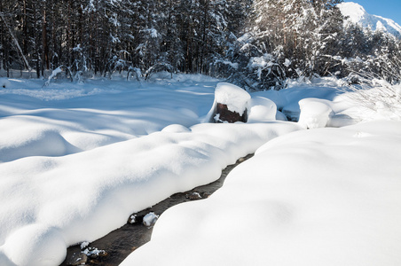 山江雪