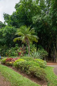 皇家植物园