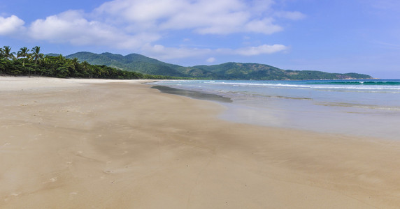 洛佩斯  门德斯海滩在青洲格兰德岛，巴西