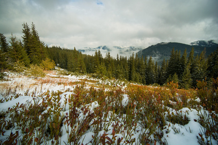 白雪皑皑的山峰