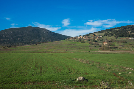 绿色的平原和维蒂纳附近的山照片