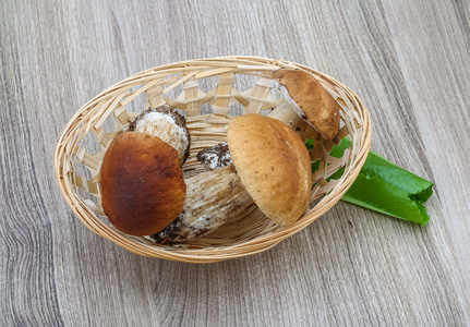 野生蘑菇牛肝菌