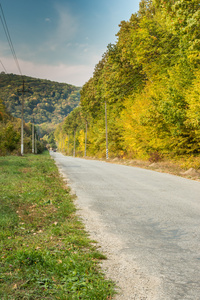 秋季农村公路