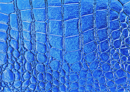 蓝色鳄鱼图案背景