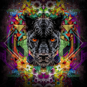 黑豹带红红的眼睛照片