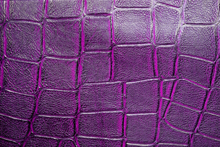 爬行动物巨蟒无尽的纹理. 彩色米色紫色重复模板.