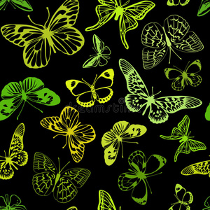 绿蝴蝶。