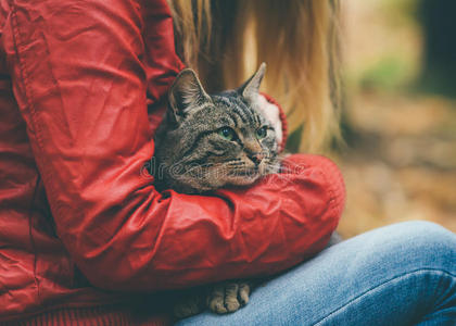 灰色猫无家可归，女人拥抱户外