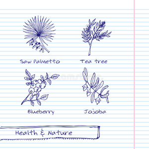 手绘插图健康与自然套装