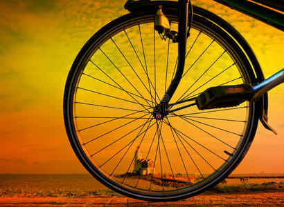 信标 自行车 美女 情绪 罗马人 渴望 荷兰 地平线 风景