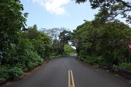 坦塔罗斯山单车道桥