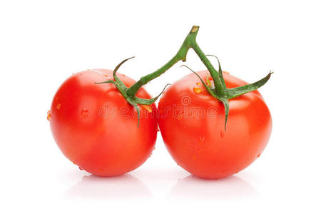 新鲜成熟干净的西红柿和水滴