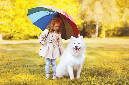 快乐的小女孩带着伞和狗在公园散步