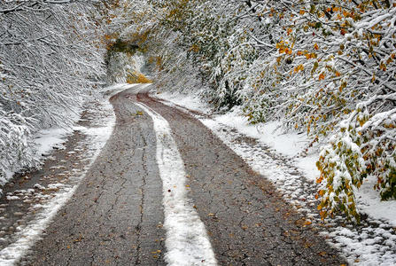 积雪覆盖的道路和树木