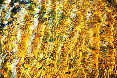 透明的黄色海水在阳光下暴涨。海床