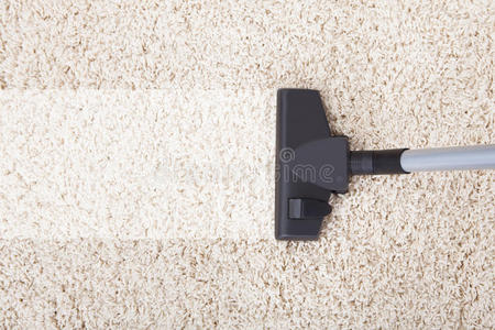 家里地毯上的吸尘器