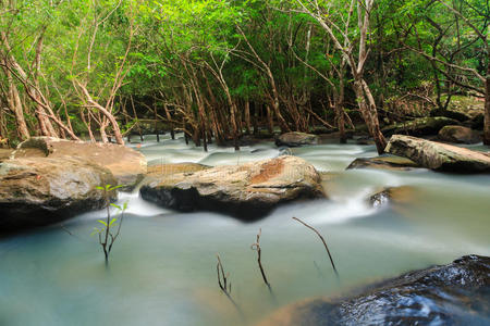 泰国森林中的瀑布和溪流