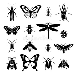 昆虫图标设置为黑白