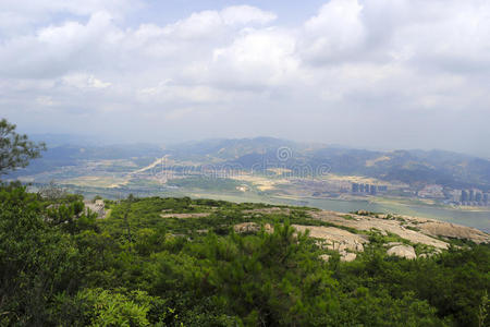 俯瞰 森林 厦门 忽略 瓷器 小山 城市