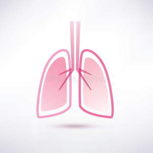 肺向量符号