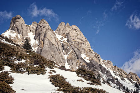 雪峰