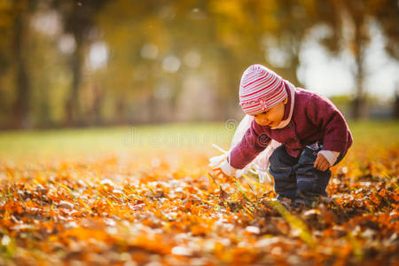 美丽公园里可爱的秋叶小女孩
